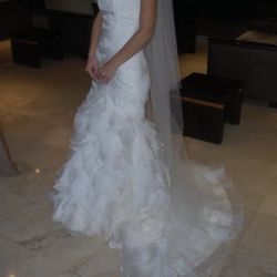 Pronovias Wedding Dress