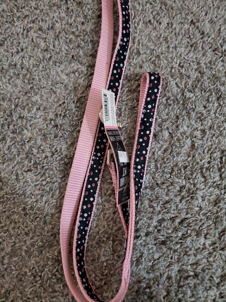 2000$ Worth Of Dog Leashes Collars Outfits Harnesses Etc For 600$