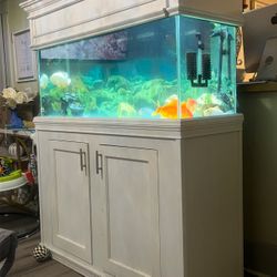 fish tank