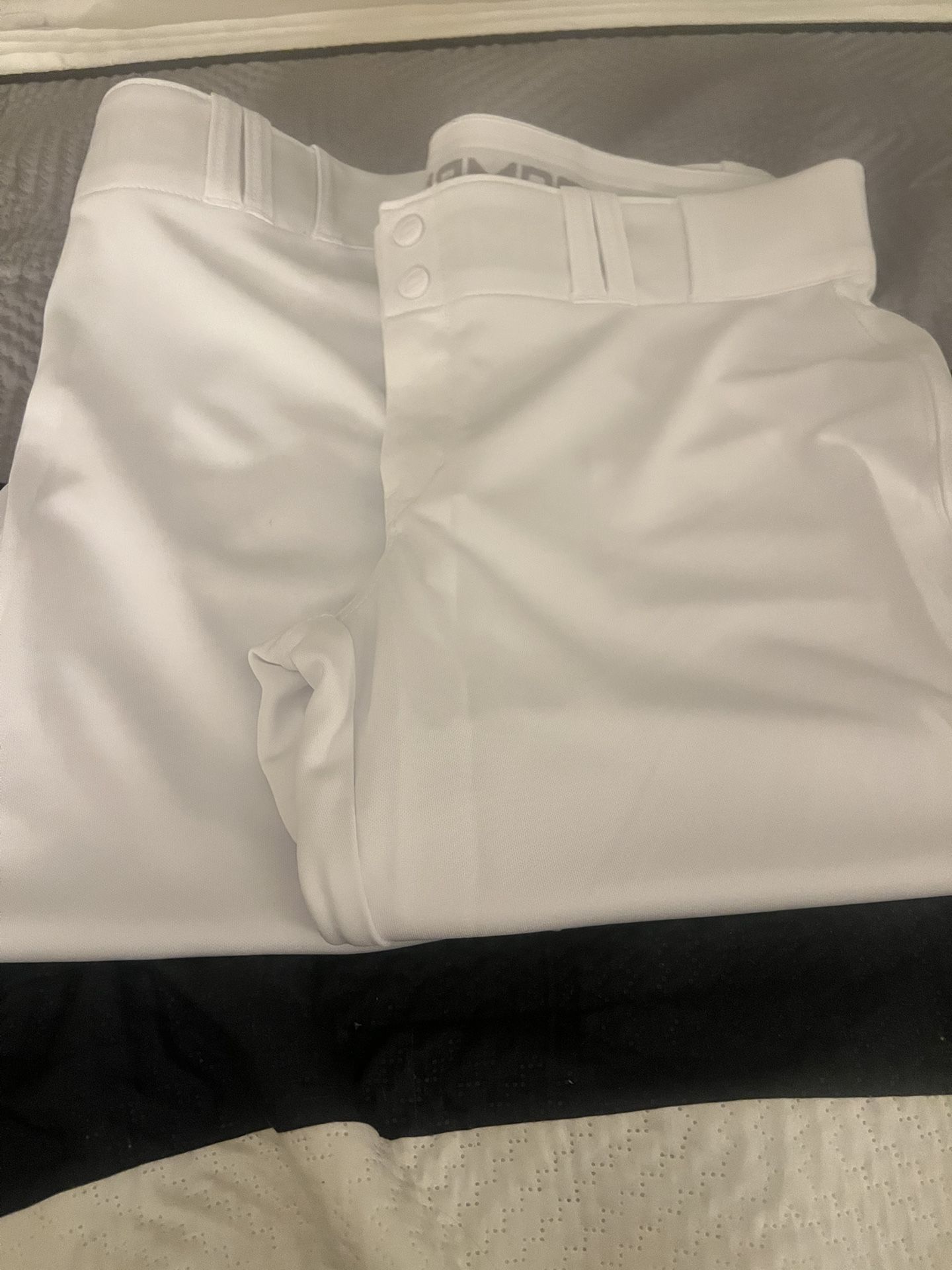 Champro Softball pants