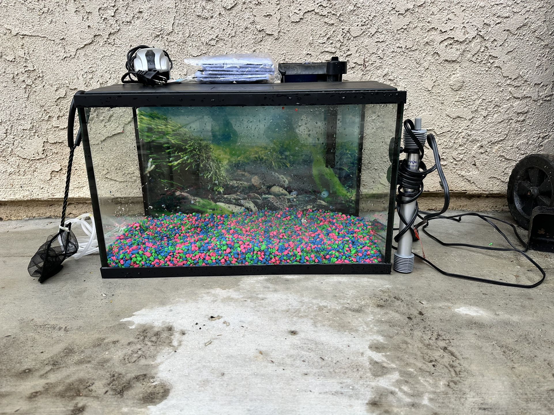 10 Gallon Fish Tank