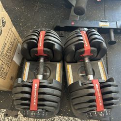Bowflex Adjustable Dumbbells (52.5 Lbs)