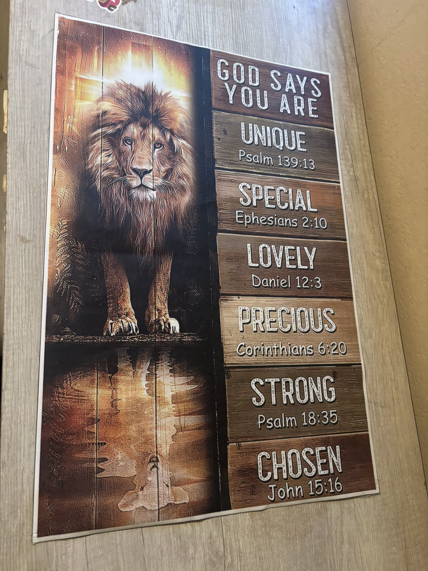 🦁 Christian Lion Wall Art – “God Says You Are” – $10