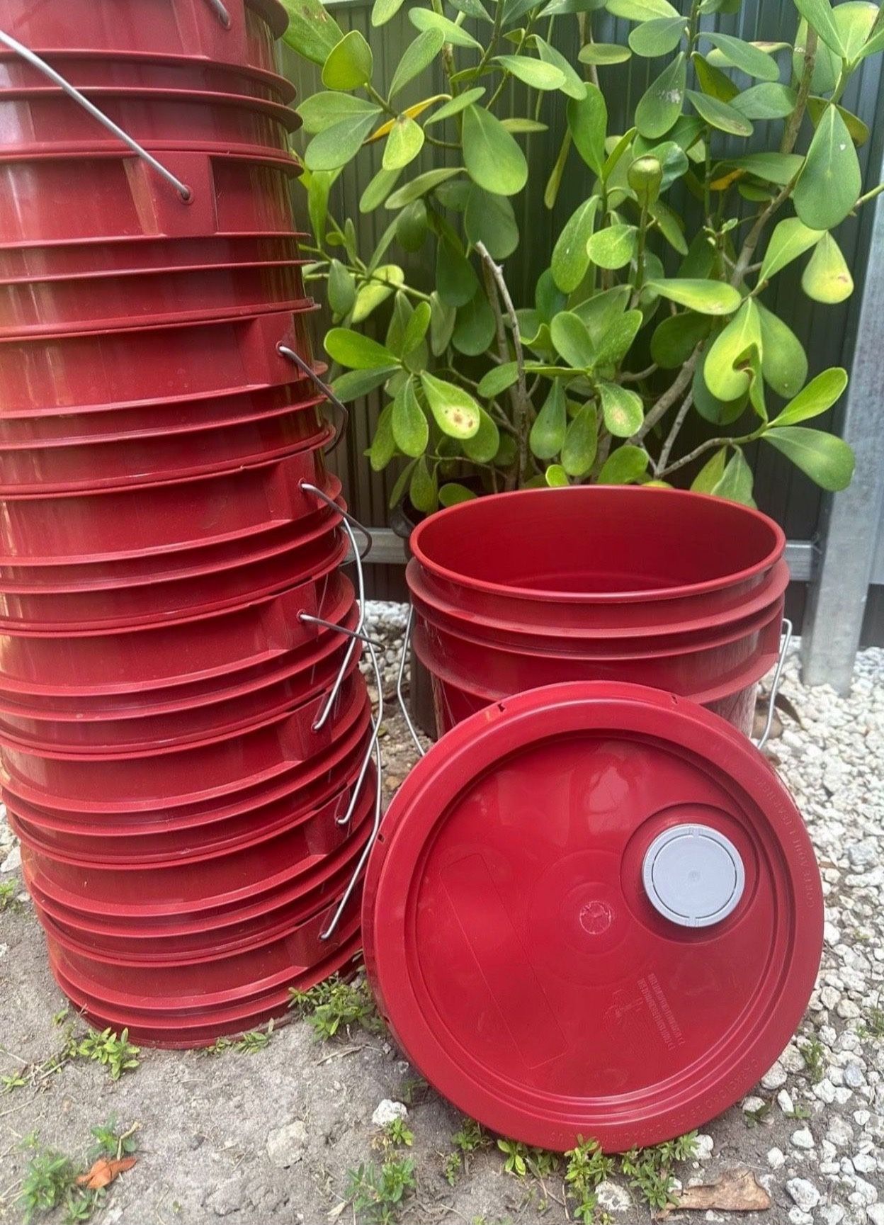 Cubos Nuevos de plástico de 5 galones, con tapa