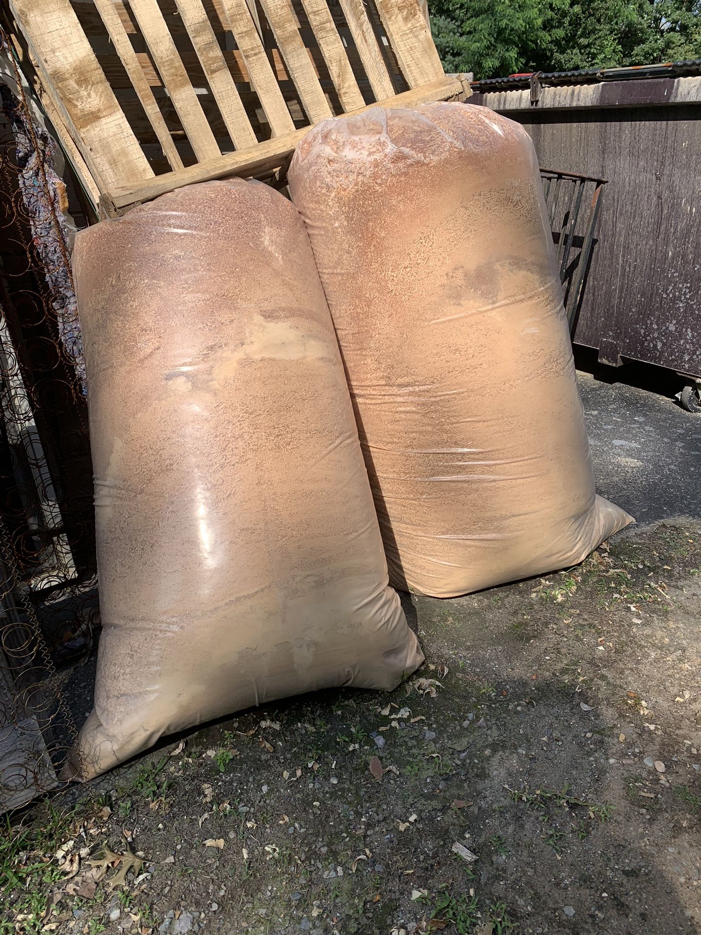 FREE Wood Shavings