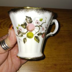 Gorgeous Vintage Collectible Teacup 