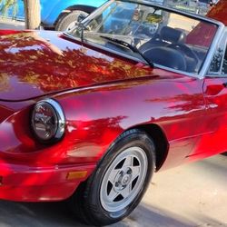 Alfa Romeo Spider And Extra Parts