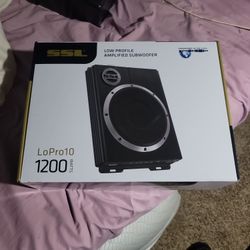 1200 Watts 10 Inch Low Profile Subwoofer 