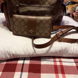 Coach Purse With Wallet 