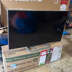 TV