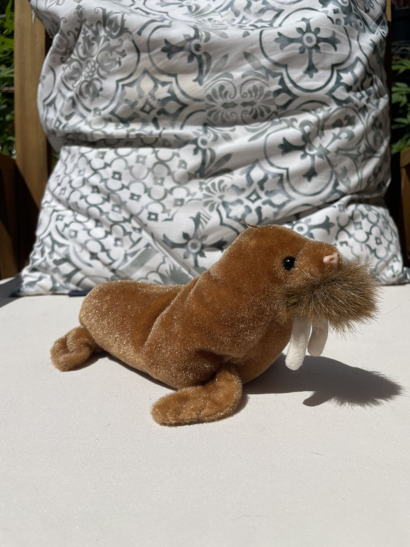Beanie Baby, Walrus