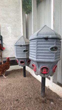 Chicken feeder with waterer and extras!