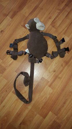 Harness