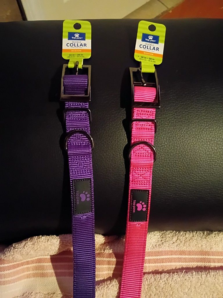 Selling Dog Collars