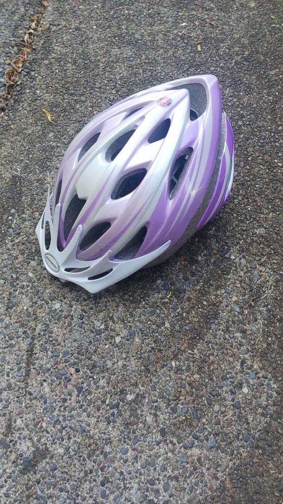 Schwinn purple and blue bike helmets.
