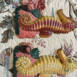 Seahorse Magnets