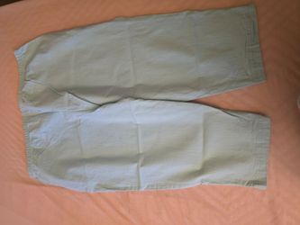 Cervelle Light Blue Capri Pants Size 3X