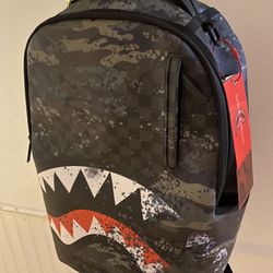 Spray Ground Back Pack 