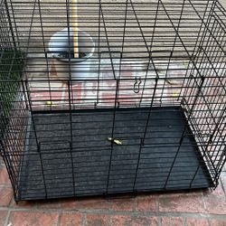 Black Dog Cage 