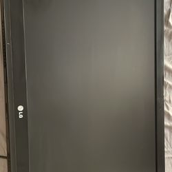 LG LD-450 42 INCH LCD MULTISYSTEM TV FOR 110-220 VOLTS