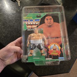Hasbro WWF wrestling