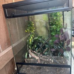 Reptile Tank 