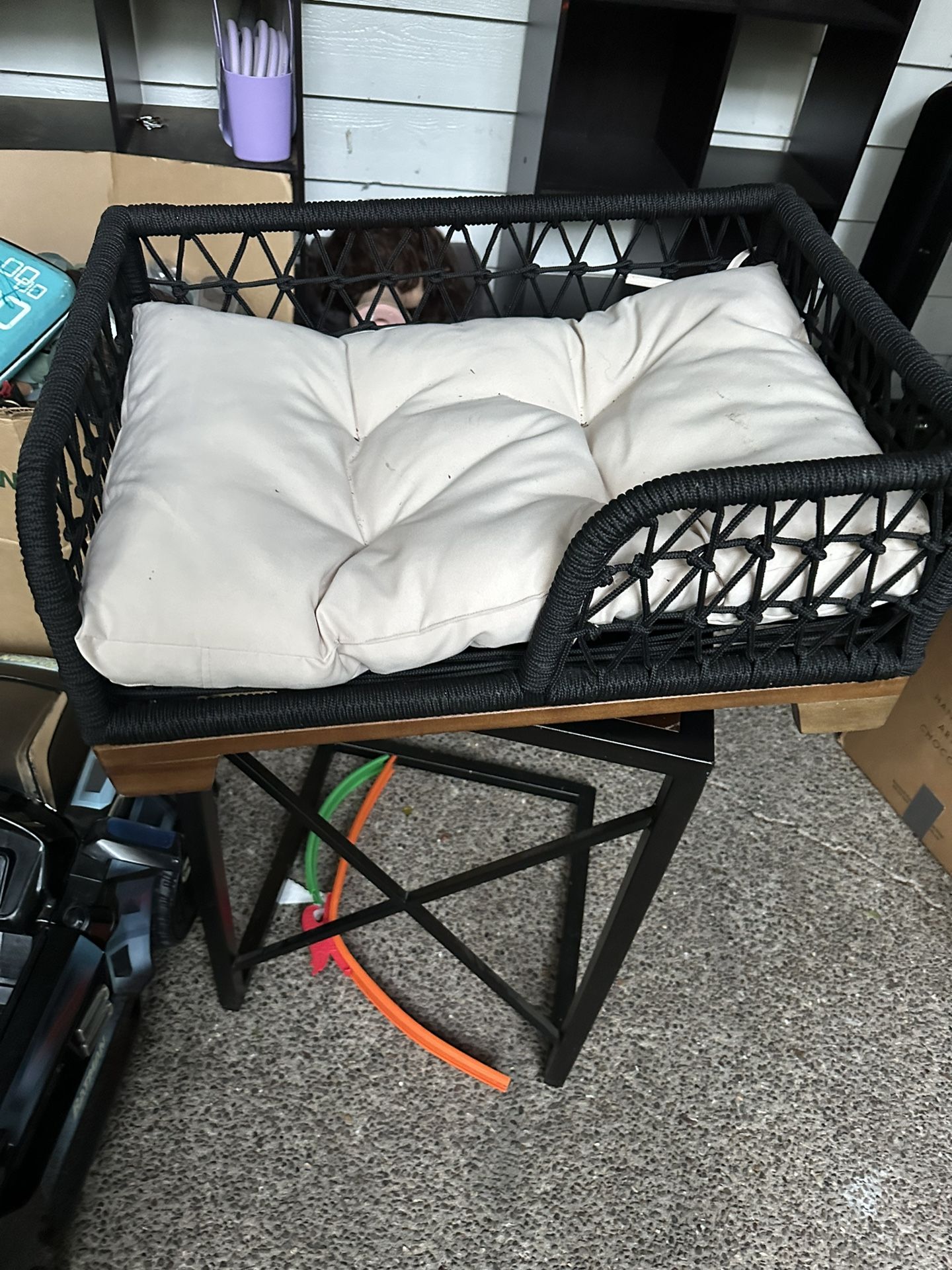 Dog Bed