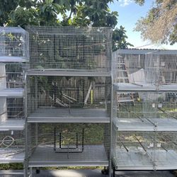 Bird Cages