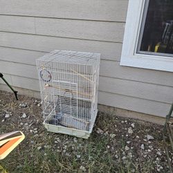 Bird Cage Medium Size