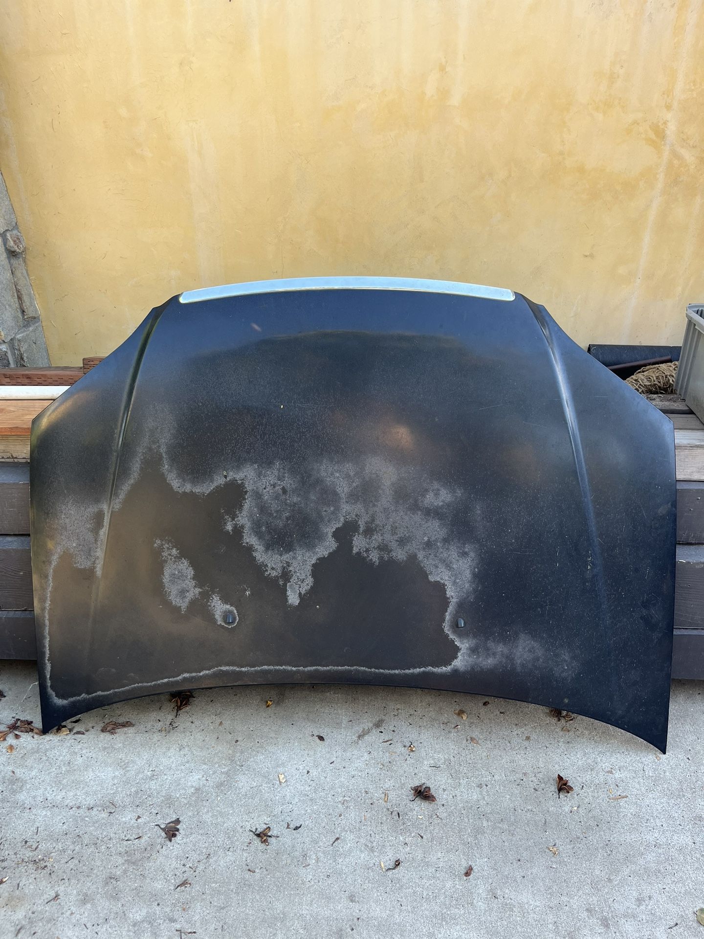Honda Civic 2000 Sedan Hood