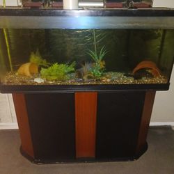 60 GAL FISH TANK