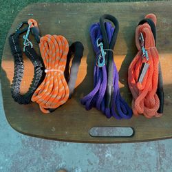Brand new dog leashes