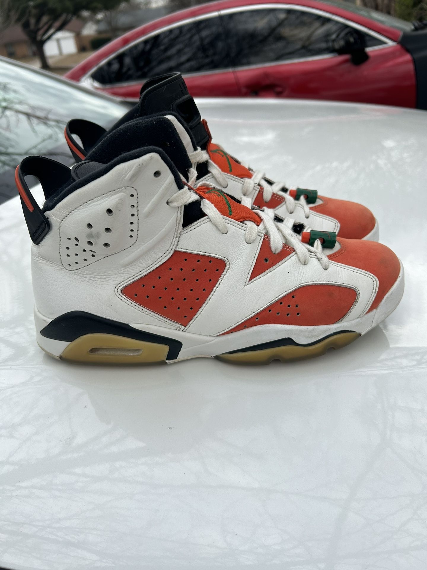 Jordan 6s