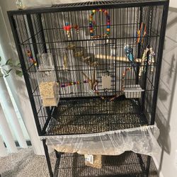 Bird Cage 