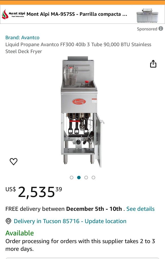 Restaurant Fryer