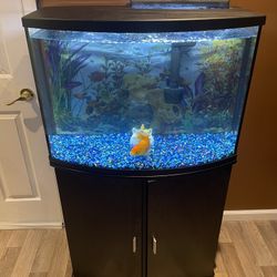 36 Gallon Barely Used Fish Tank 