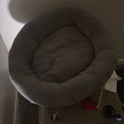 Silver used dog bed