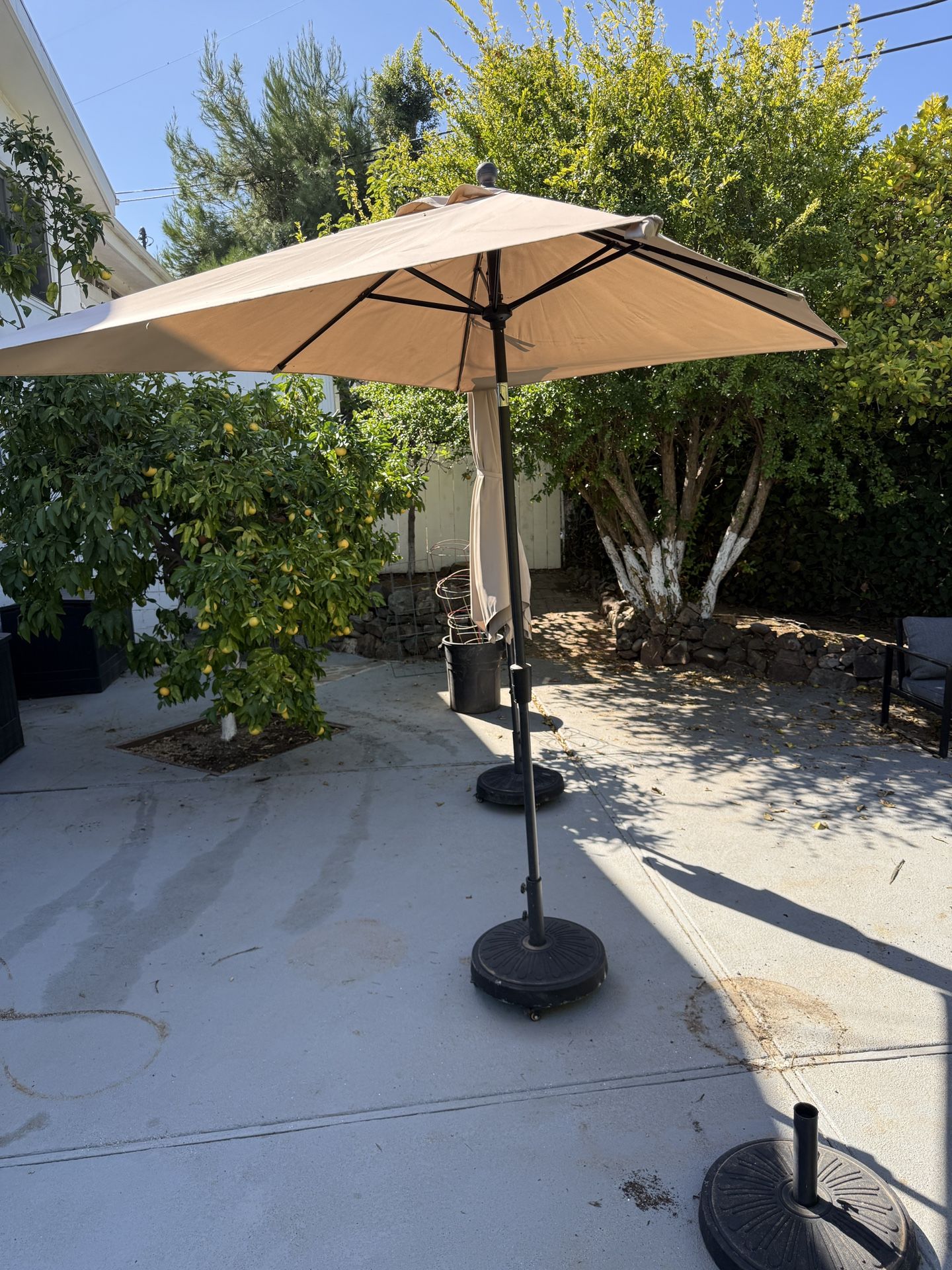 Umbrella w/ Rolling Base