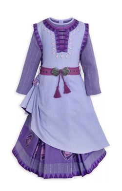 Disney Asha Costume