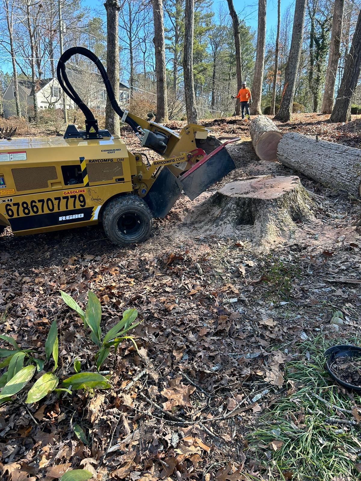 STUMP GRINDING