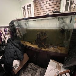 Fish Tank 150 Gallon 