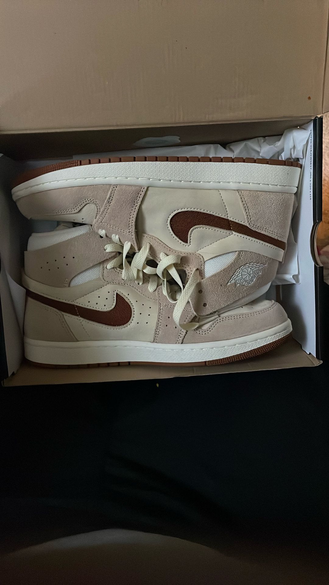 Air Jordan 1 Zoom Tech