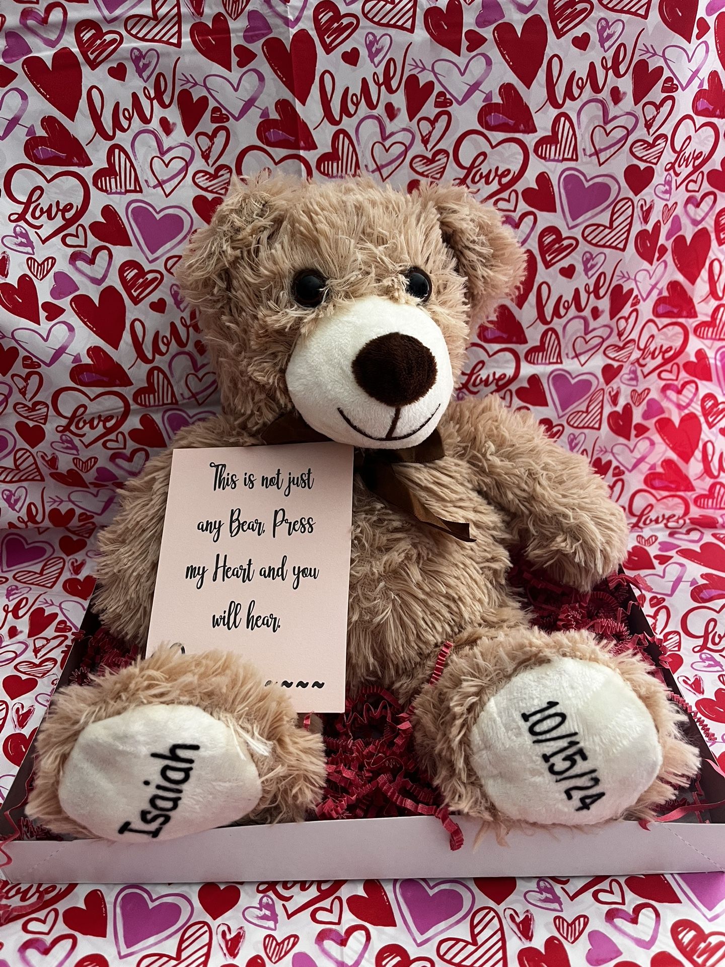 Voice Recordable Bear 