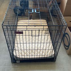 Dog Kennel