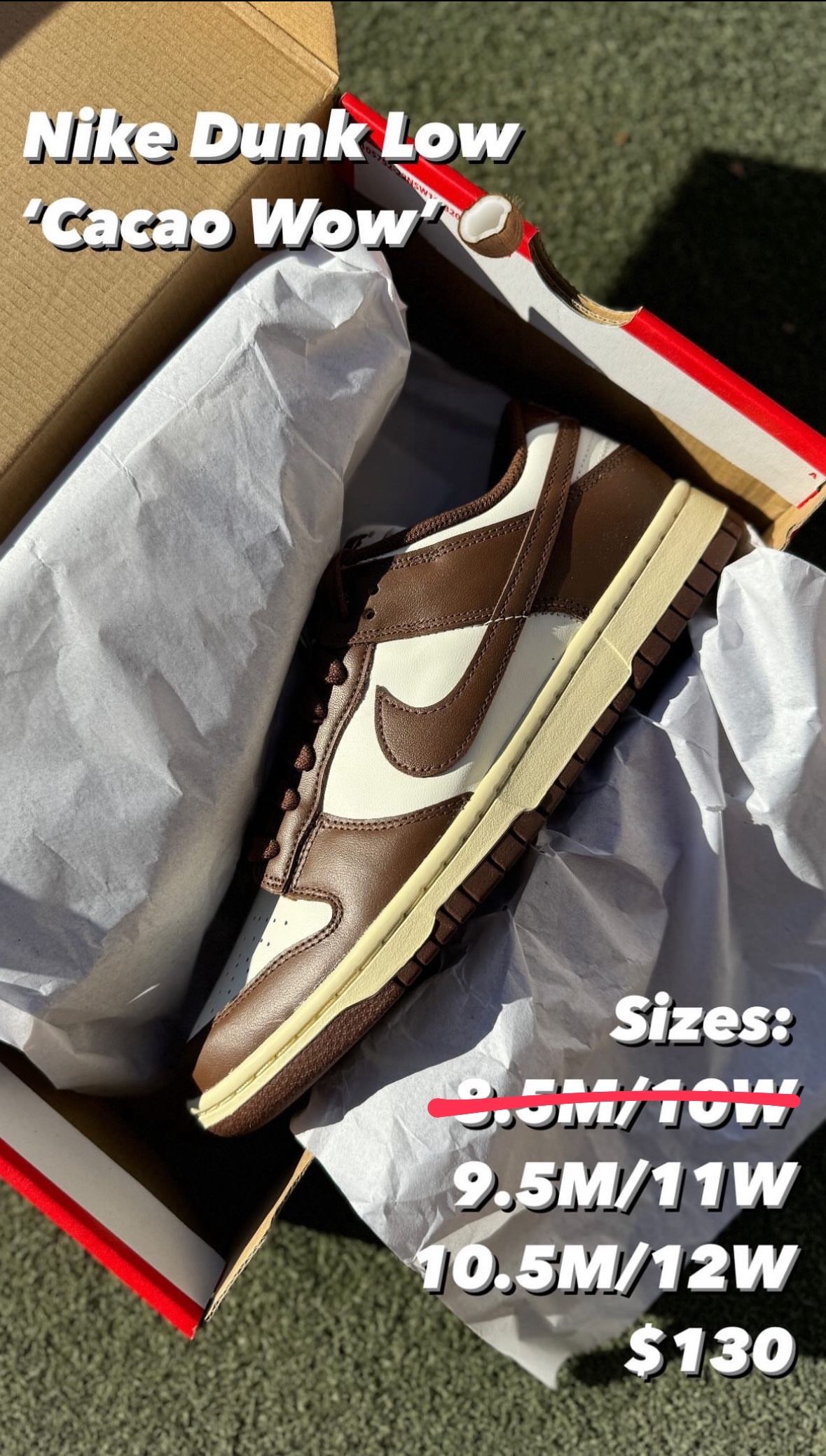Nike Dunk Low Cacao Wow Size 11W - Main Image