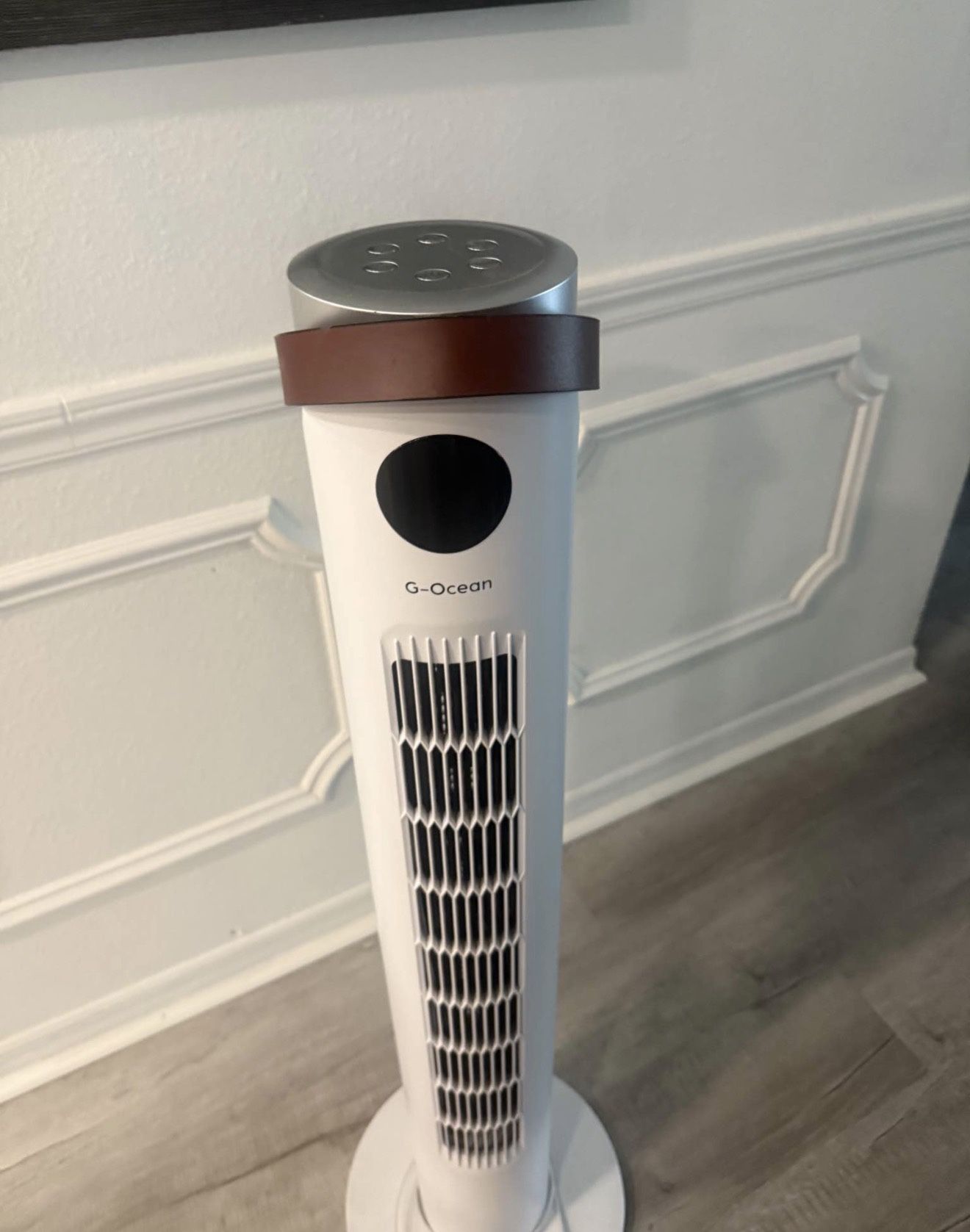 Floor Fan