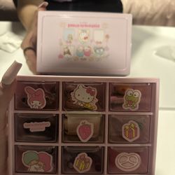 Sanrio Mini Organizar 