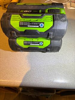 2x EGO Batteries