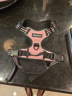 Eagles Pink Dog Harness. New. Large . N Jones And Horse Pickup