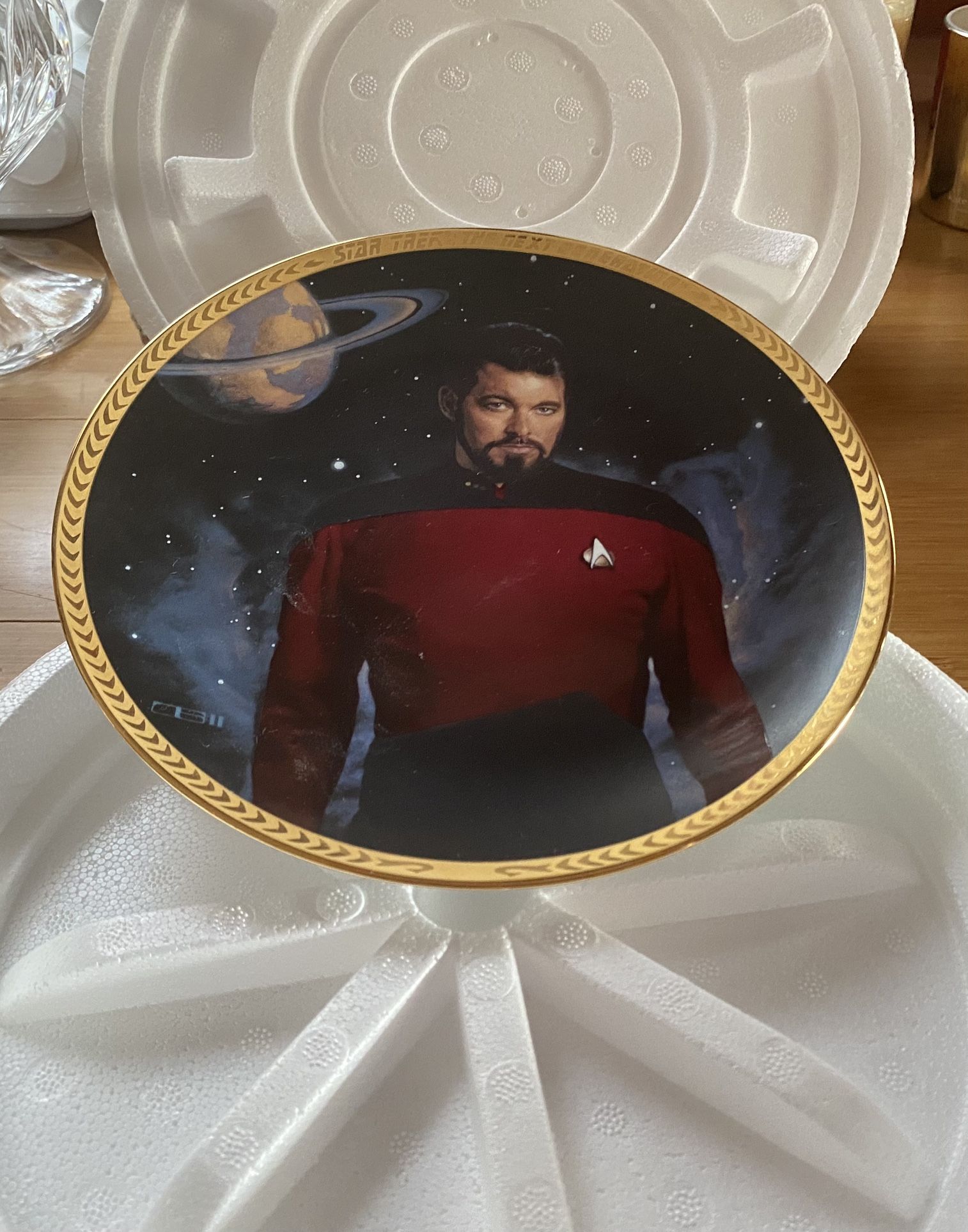 Hamilton Collection Star Trek TNG Plate